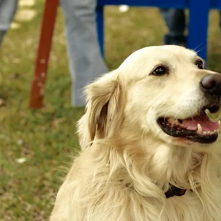 Giardino Dei Suoni 3* Melendugno