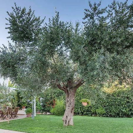 Bed & Breakfast Giardino Dei Suoni 3*