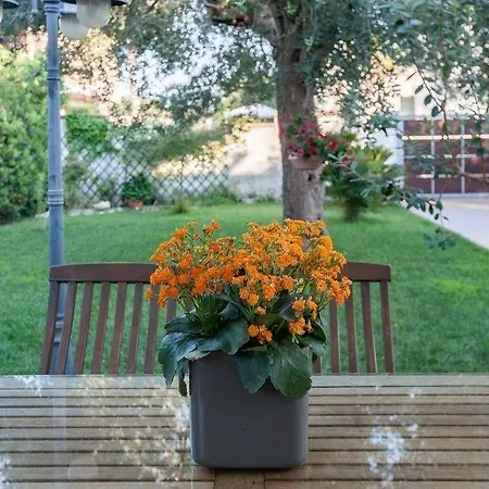 Giardino Dei Suoni 3*